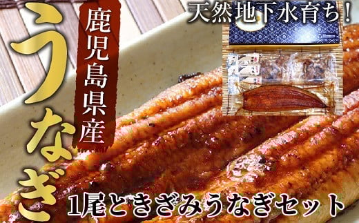 062-3-05 鹿児島県産うなぎ蒲焼1尾&きざみうなぎセット鹿児島県南九州市10500魚介・海産物うなぎ