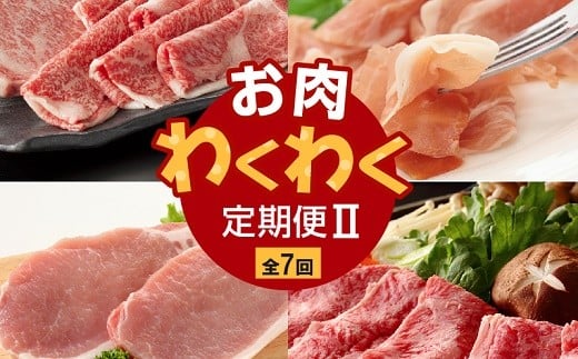 【全7回】お肉わくわく定期便U 027-37鹿児島県南九州市104000肉牛肉