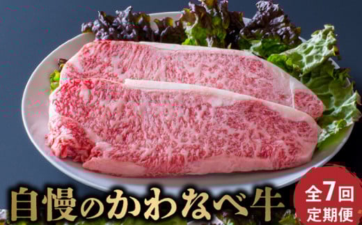 【全7回】自慢のかわなべ牛定期便 023-22鹿児島県南九州市207000肉牛肉