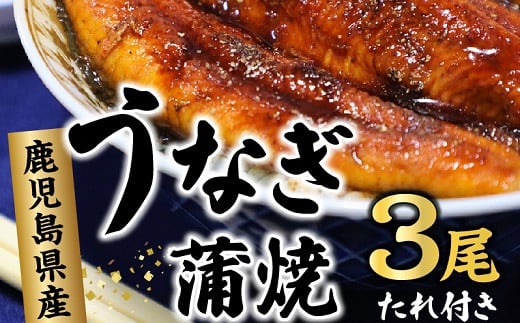 077-01 鹿児島県産うなぎ蒲焼3尾 タレ付鹿児島県南九州市21000魚介・海産物うなぎ