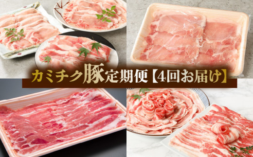 【全4回】鹿児島県産 カミチク豚 定期便 076-16鹿児島県南九州市52000肉豚肉