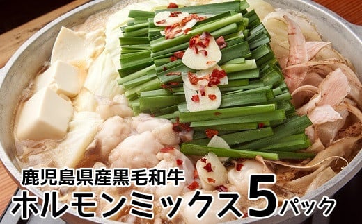 052-17 鹿児島県産黒毛和牛ホルモンミックス5パック鹿児島県南九州市24500肉牛肉
