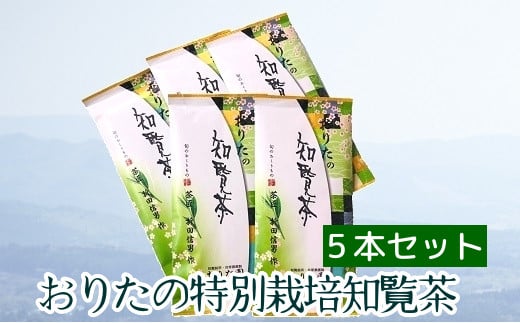 049-11 肽̓ʍ͔|m5{ZbgBs14000E