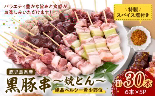 052-28 鹿児島県産黒豚串〜焼とん〜6本×5P(特製スパイス塩付き)鹿児島県南九州市12500肉豚肉