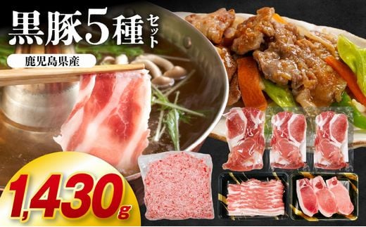 027-46 Y5 v1,430glߍ킹ZbgBs18000ؓ