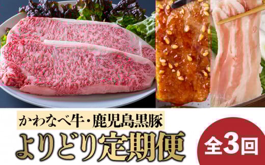 【全3回】かわなべ牛・鹿児島黒豚よりどり定期便 023-26鹿児島県南九州市104000肉牛肉