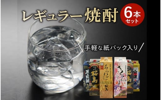 026-A-044 紙パック入 レギュラー焼酎 1.8L×6本セット鹿児島県南九州市43500酒・アルコール焼酎