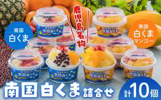 062-8-17 南国白くま・南国白くまマンゴー10個詰合せセット鹿児島県南九州市12500菓子・スイーツアイス・ジェラート