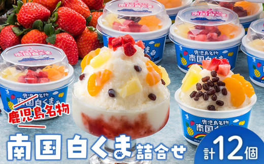 062-8-15 썑12ZbgBs12500َqEXC[cACXEWF[g