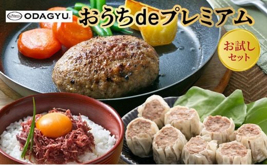 060-42 小田牛の「おうちdeプレミアム」お試しセット鹿児島県南九州市12000鍋セット・総菜・加工食品総菜