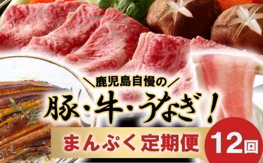 【全12回】鹿児島自慢の豚・牛・うなぎ まんぷく定期便 027-74鹿児島県南九州市104000肉牛肉