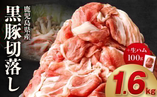 027-77 ؐؗ1600g+n100gBs10500ؓ