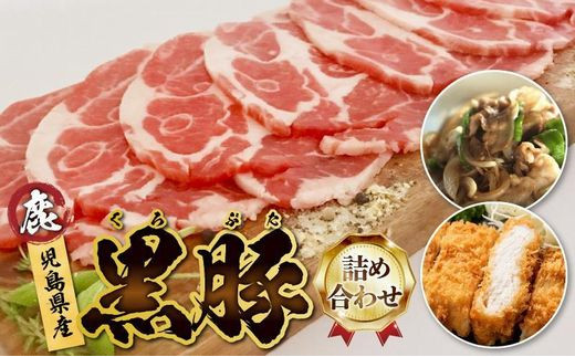 027-79 YؐؗEƂ񂩂+n100gBs10500ؓ