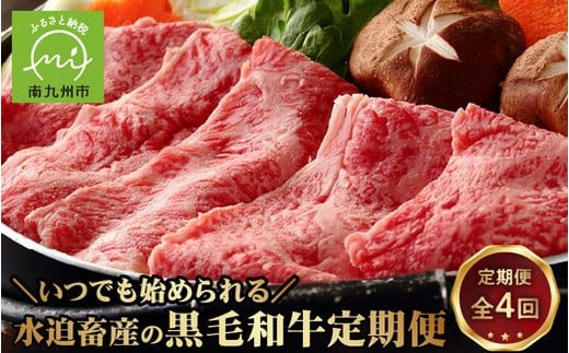 yS4złn߂鐅{Y̍јa 027-75Bs73000