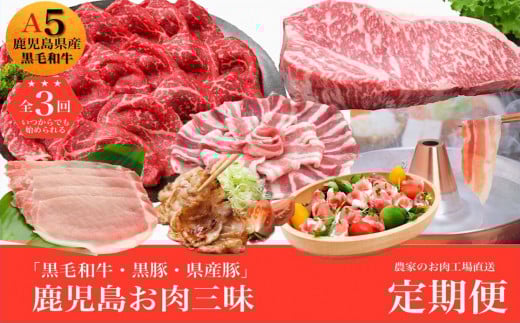 農家のお肉工場直送【3回定期便】鹿児島お肉三昧定期便 027-93鹿児島県南九州市31000肉牛肉
