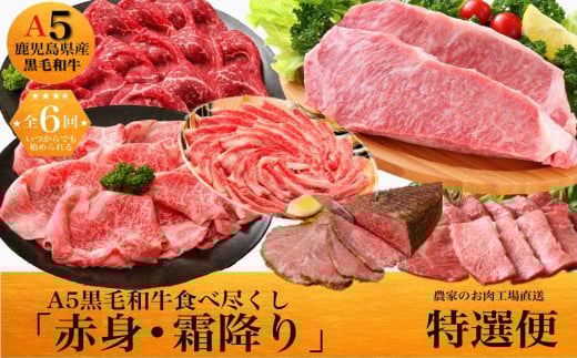 yS6zYA5јa~EԐgHאsI3kg 027-95Bs124000