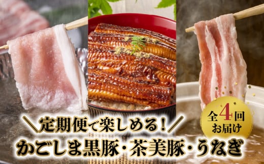 yS4z܍؁E؁EȂ 106-13Bs52000ؓ