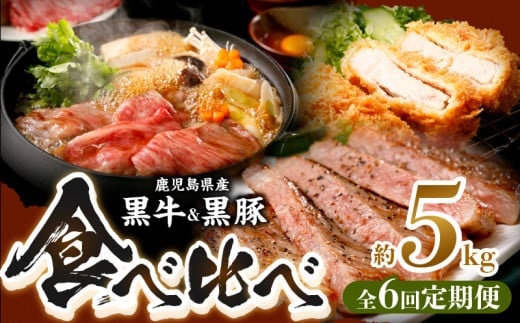 【全6回】鹿児島黒牛・黒豚食べ比べ定期便 022-57鹿児島県南九州市124000肉牛肉