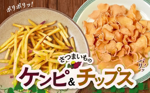 040-17 ܂̃Ps&`bvX ZbgBs12500َqEXC[c݁E