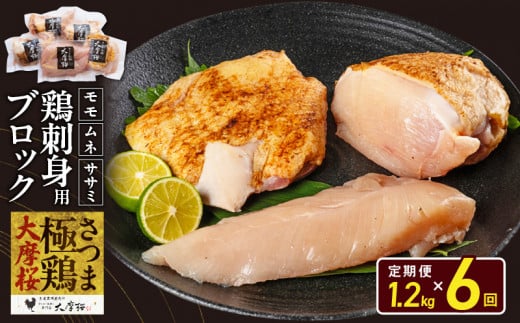 【全6回】さつま極鶏大摩桜 刺身用ブロック定期便 085-10鹿児島県南九州市104000肉鶏肉