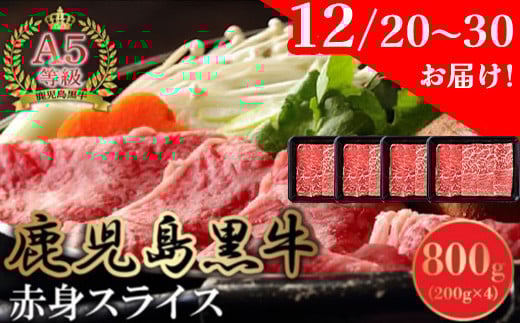 076-02-1 y1220`30͂z A5YјaԐgXCX800gBs15500
