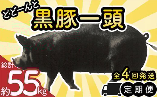 yS4zǂǁ[ƍ؂P 052-36Bs568000ؓ