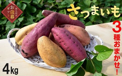 040-01-1 yΕɁz܂3킨܂4kgZbgBs10500؁ÊႪEC