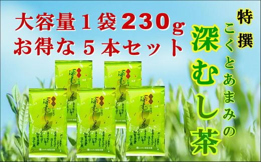 129-05 知覧茶園の特撰深むし茶 大容量 5本セット鹿児島県南九州市16000お茶・飲料お茶