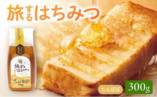 054-29 旅するはちみつ300g【たんぽぽ蜂蜜】鹿児島県南九州市10000鍋セット・総菜・加工食品ジャム・はちみつ