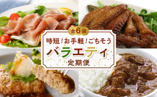 【全6回】時短!お手軽!ごちそうバラエティ定期便 BT-3鹿児島県南九州市63000肉その他 肉