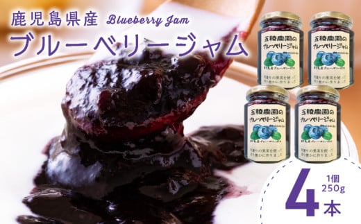 115-07 ブルーベリージャム 250g×4個鹿児島県南九州市10500鍋セット・総菜・加工食品ジャム・はちみつ