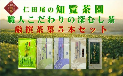 129-03-2 yΕɁzm[ނ t5{ZbgBs22000E