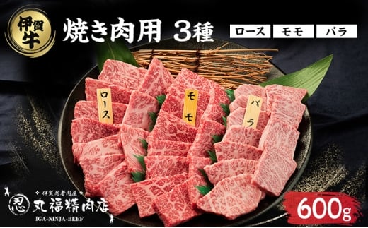 ɉE҃r[tyɉꋍzēp3600gi[X200g,200g,o200gjOds60000