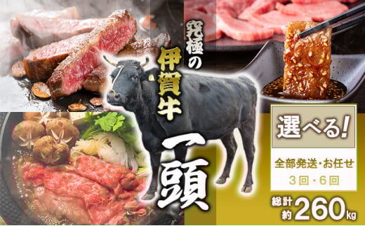 究極の伊賀牛1頭分三重県名張市11000000肉牛肉