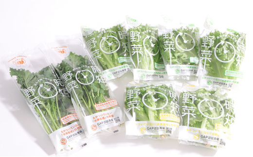 なばリーフ アソート セット フリルレタス 3p グリーンリーフレタス 2p ケール 2p 計7p入/ 水耕栽培 時短 野菜 レタス 特殊フィルム包装 新鮮 洗わずに食べられる サラダ お鍋 スープ サンドウ