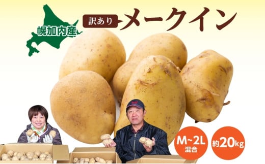 [5795-0181]kCY 󂠂 Ⴊ [NC M`2L 20kg WKC n鏒 |eg L^AJ   C { ~ _앨 A KiO ƒp kC  Yn }t@