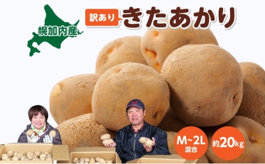 [5795-0182]kCY 󂠂 Ⴊ  M`2L 20kg WKC n鏒 |eg L^AJ   C { ~ _앨 A KiO ƒp kC  Yn }t@