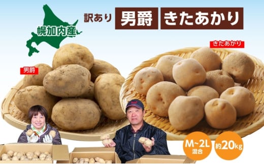 [5795-0183]kCY 󂠂 Ⴊ j  M`2L e10kg v20kg WKC n鏒 |eg   C { ~ _앨 A KiO kC  Yn }t@[