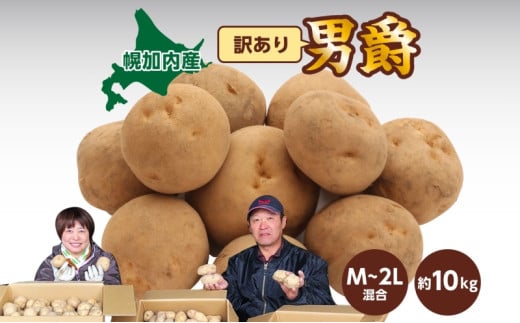 [5795-0371]kCY 󂠂 Ⴊ j M`2L 10kg WKC n鏒 |eg L^AJ   C { ~ _앨 A KiO ƒp kC  Yn }t@[  y