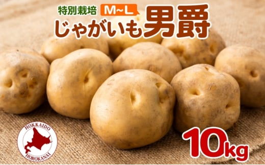 [5795-0374]2025NHȍ~oׁ kC Ⴊ j M`L 10kg ʍ͔| WKC n鏒 񂵂Ⴍ   C |eg   _앨 Y Â ~  Yn k