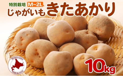 [5795-0382]2025NHȍ~oׁkC ʍ͔| Ⴊ  M`2L  10kg WKC n鏒   C |eg   { kCY Y  ~ _앨 10L 