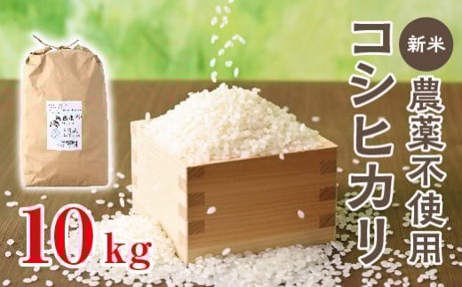 令和6年産 新米 無農薬「コシヒカリ」10kg お米 こしひかり 栃木県壬生町栃木県壬生町17000米・パン白米