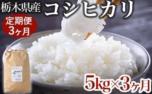 【限定15セット】【定期便3ヶ月】令和6年産お米5kg 農薬不使用 栃木県産コシヒカリ 白米 おこめ 米 国産栃木県壬生町33000米・パン白米