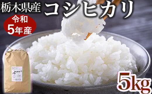 【限定15セット】令和5年産お米5kg 農薬不使用 栃木県産コシヒカリ 白米 おこめ 米 国産 ※着日指定不可 ※2023年9月中旬頃より順次発送予定栃木県壬生町14000米・パン白米