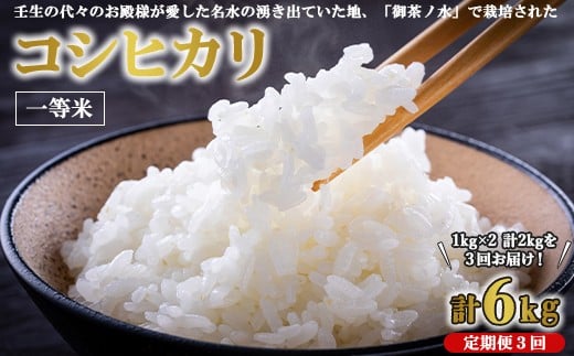 【3ヵ月定期便】《令和7年産》コシヒカリ 1kg×2袋×3回 計6kg | 一等米 お殿様のお米 お米 おこめ こしひかり コメ こめ ご飯 ごはん 国産 栃木県 壬生町栃木県壬生町29000米・パン白米