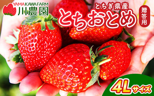 とちおとめ 320g×2パック 4Lサイズ | いちご 苺 イチゴ 贈答 フルーツ 果物 国産 平積み ※2026年1月中旬頃より順次発送予定栃木県壬生町11000果物・フルーツいちご