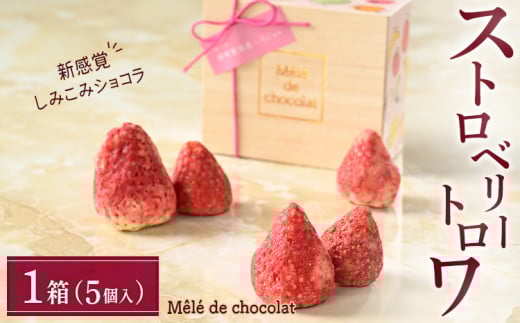 lCXC[cVbv Mele de chocolatiEhEVRjXgx[ g 1bȖ،p Պ_YƂƂ߁AƂAXJCx[ 3̃uh䕎gpґXC[