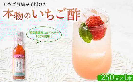 琴寄農園産スカイベリー100%使用 いちご農家が手掛けた「本物のいちご酢」 無添加 飲む果実酢 4倍希釈タイプ栃木県壬生町7000調味料・油酢