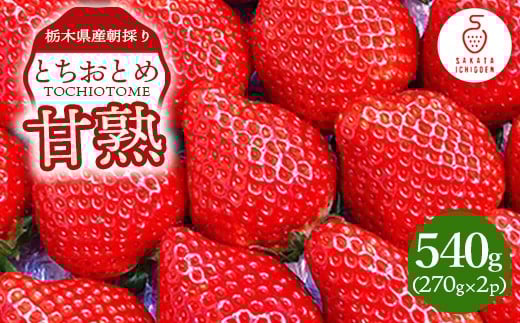 Ȗ،YÏnƂƂ 270g×2p b ƂƂ   Ȗ، ʕ t[c kCEEւ̔zs 2026N1{`4{ɏ\Ȗ،p9000ʕEt[