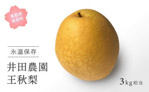 yID03_11z挧암Y@c_̉H[]i3kgj11oׁ挧암15000ʕEt[c񂲁E